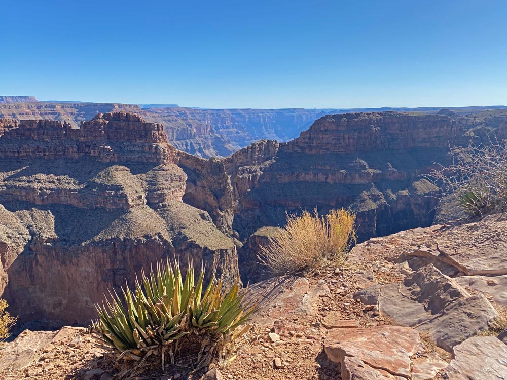 A wide shot of the Grand Canyon shows a deep chasm and layered rock formations under a clear blue sky.