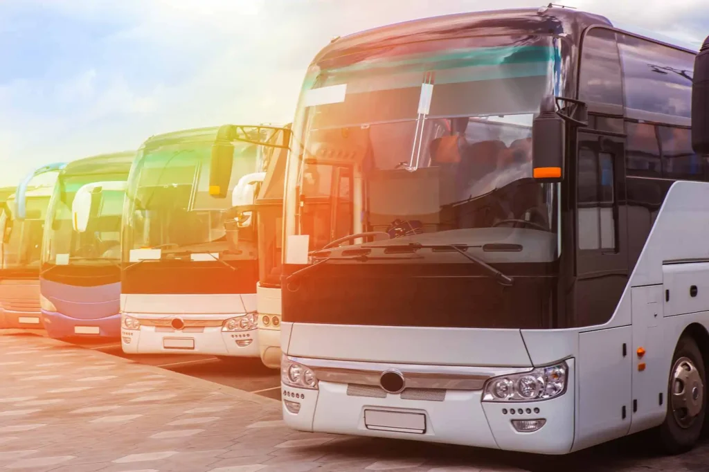 Multiple white, blue, and green buses parked outdoors under a sunny sky.